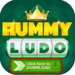 RUMMY LUDO